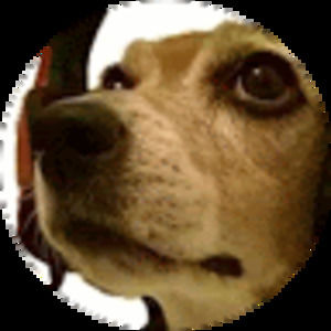 Meet your Posher, Rohan